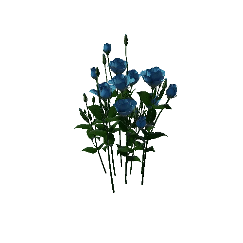 Flower Lisianthus5.3